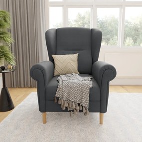 Fotoliu gri închis wing Swan – Ropez