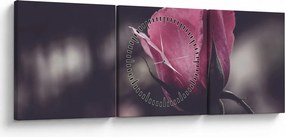 Tablou - Detaliu florii de trandafir (cu ceas) (90x30 cm)