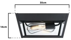 Plafonieră de exterior Westinghouse 61219 PETERSON 2xE27/40W/230V IP44