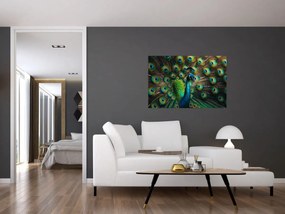 Tablou – Păun (90x60 cm)