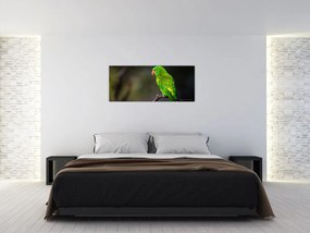 Tablou cu papagal pe greangă (120x50 cm)