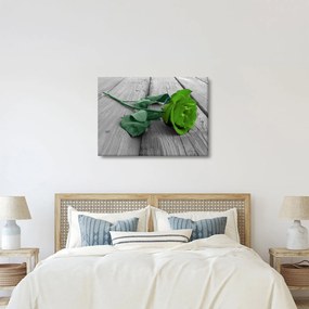 Tablou - Trandafir verde (70x50 cm)