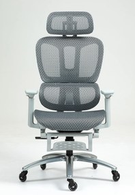 Scaun ergonomic, cotiere 3D, suport picioare, Full Mesh, Gri