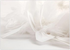 Tablou - Pană (70x50 cm)