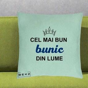 Cadou pentru Bunic - Perna Personalizata Cel Mai Bun Bunic Din Lume Coroana Albastra, 40x40 cm, Verde Menta, Husa Detasabila, Perna Inclusa, BEKZ®