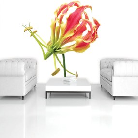 Fototapet - Flori (254x184 cm)