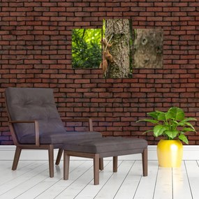 Tablou - Veverița (90x60 cm)