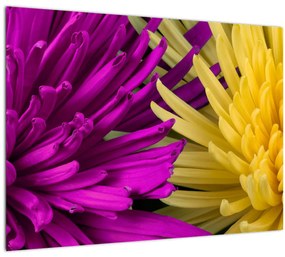 Tablou - detailu cu flori (70x50 cm), în 40 de alte dimensiuni noi