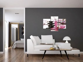 Tablou cupietre pentru masaj și orhidee (90x60 cm)