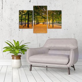 Tablou cu alee cu copaci în toamnă (90x60 cm)