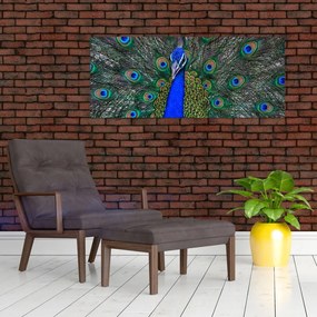Tablou - Păun (120x50 cm)