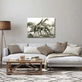 Tablou - Girafe, de epocă (70x50 cm)