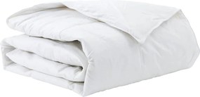 vidaXL Duvet de iarnă Alb 140 x 200 cm Pene