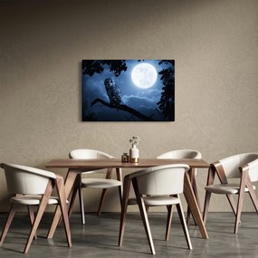 Tablou - Bufnița de noapte (90x60 cm)