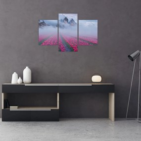 Tablou - Peisaj cu câmpuri de lalele (90x60 cm)