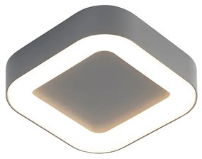 Lampă de perete și tavan gri pătrat IP54 - Ariel