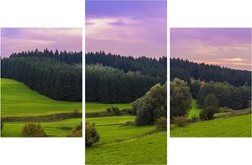Tablou cu lunca (90x60 cm)