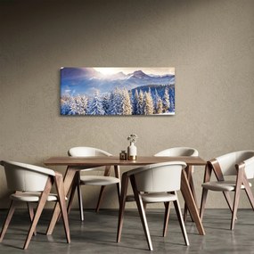 Tablou - Peisaj montan în timpul iernii (120x50 cm)