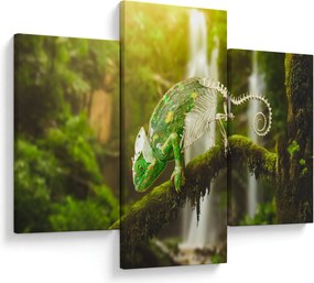 Tablou - cameleon (90x60 cm)