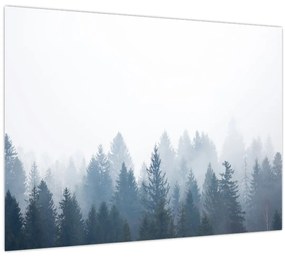 Tablou pe sticlă - Pădure cețoasă (70x50 cm)