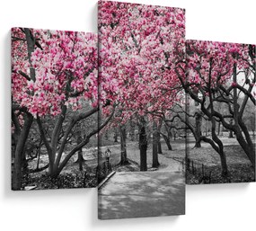 Tablou copacului magnolie (90x60 cm)