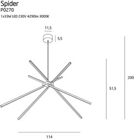 Lustra alba Spider -P0270