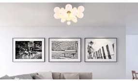 Lustră aplicată Globo 15633DO UDO 3xE14/25W/230V