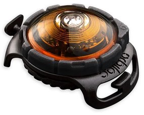 Lanternă LED pentru zgardă Amber – Orbiloc