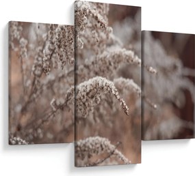 Tablou cu plante (90x60 cm)