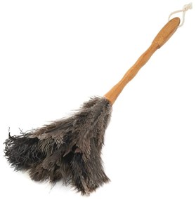 Pămătuf de praf din pene de struț – Addis