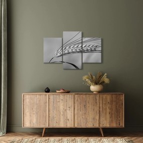 Tablou - Grâu,alb-negru (90x60 cm)