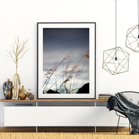 Poster - Detailu de ierburi de apă (A4)