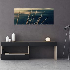 Tablou cu ierburi (120x50 cm)