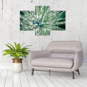 Tablou - Imagine macro a unei flori (90x60 cm)