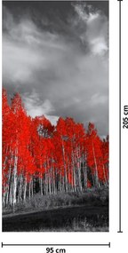 Fototapet pentru ușă - Copaci roșii (95x205cm)