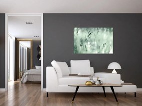 Tablou - Pajiște verde (90x60 cm)