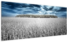 Tablou cu câmp (120x50 cm)