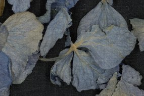 Fototapet, Fragile Beauty, Dark Blue, Rebel Walls