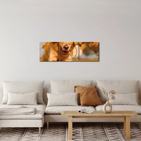 Tablou - Golden Retriever (cu ceas) (90x30 cm)