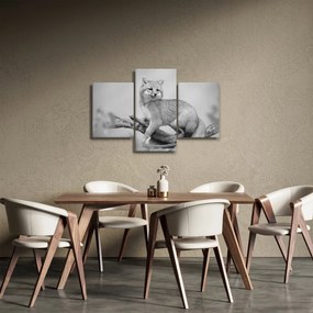 Tablou - Vulpe gri (90x60 cm)