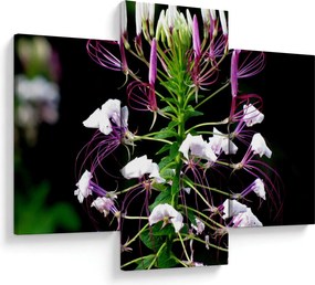 Tablou cu floare (90x60 cm)