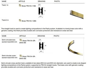 Accesoriu, Spot pentru Sistem Modular Magnetic Flarity, Bianca alama