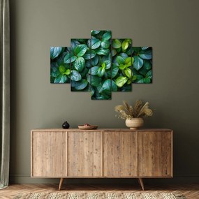 Tablou - Plante verzi (150x105 cm)