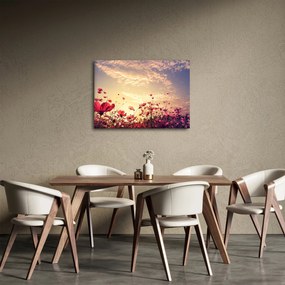 Tablou - Lunca cu flori (70x50 cm)