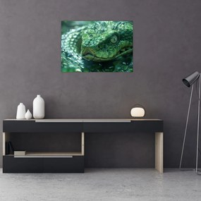 Tablou - Portret de șarpe (70x50 cm)