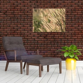 Tablou - Cereale (70x50 cm)