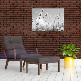 Tablou pe sticlă - Boho iepuraș coadă de iarbă (70x50 cm)