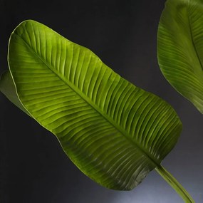 Aranjament floral mare ETERNITY CLEX PARADISE, 215cm