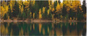 Tablou cu lac de pădure (120x50 cm)