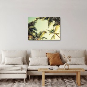 Tablou - Palmieri de cocos (70x50 cm)